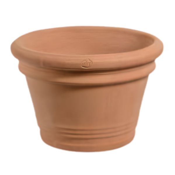 Vaso antiqua liberty