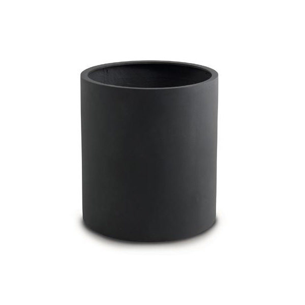 Indianapolis lead lite