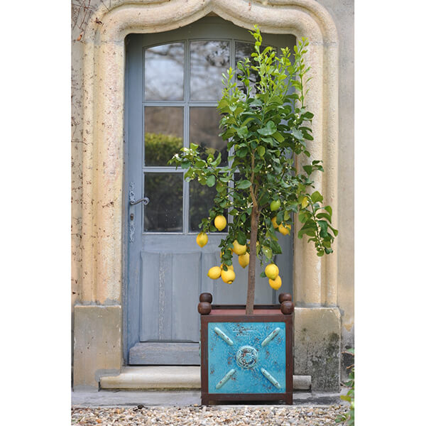 Bac a’ oranger pm blue